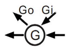 G type port configuration for gas pressure regulator